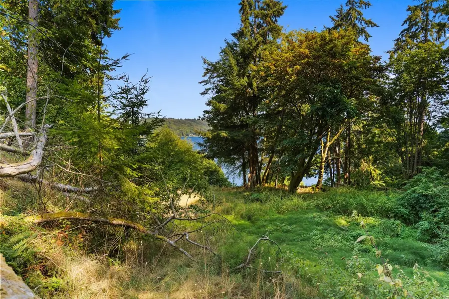 290 125th Place Sw, Vashon, WA 98070 - #3
