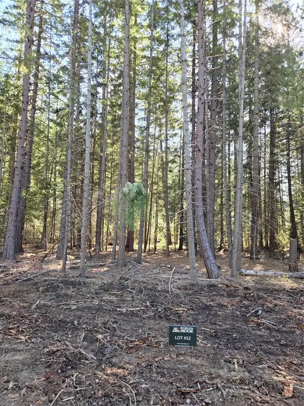 12 Rock Cress Lane #012, Ronald, WA 98940