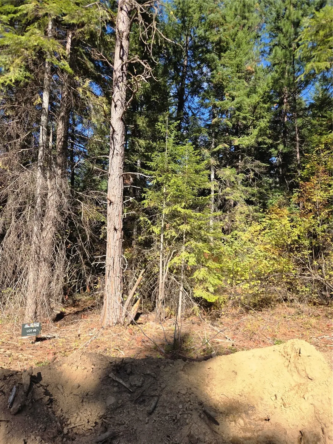 8 Rock Cress Lane #008, Ronald, WA 98940 - #1