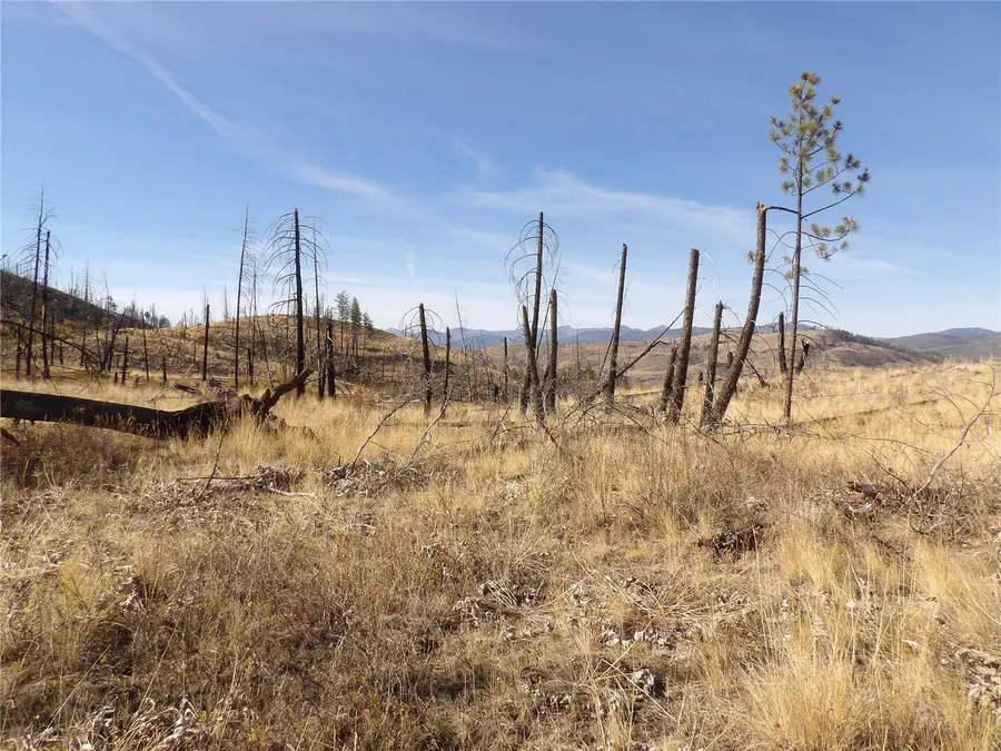 0 Tbd Stillwater Hill Road, Tonasket, WA 98855 - #2