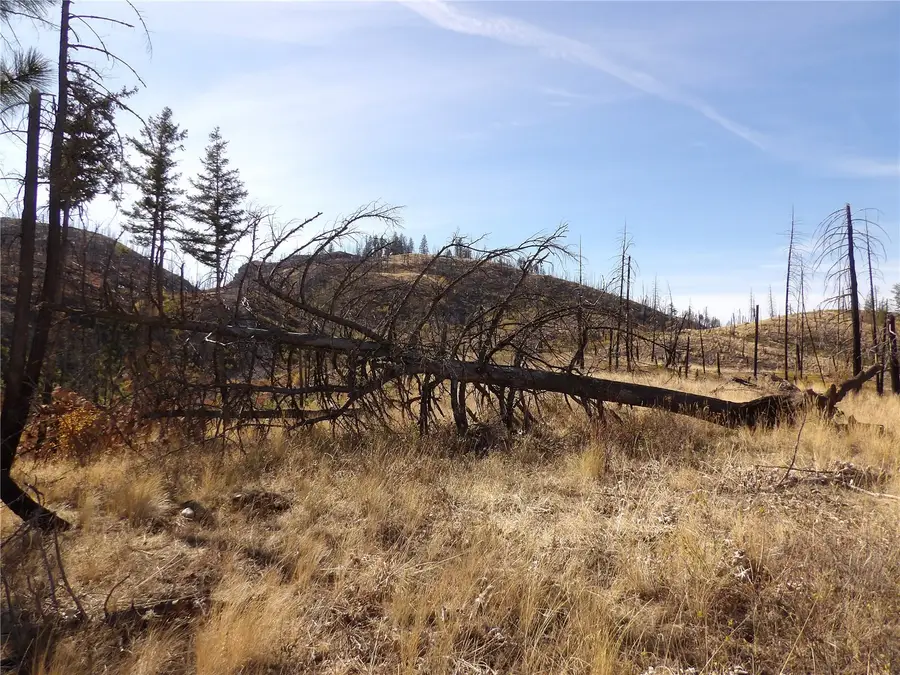 0 Tbd Stillwater Hill Road, Tonasket, WA 98855 - #3