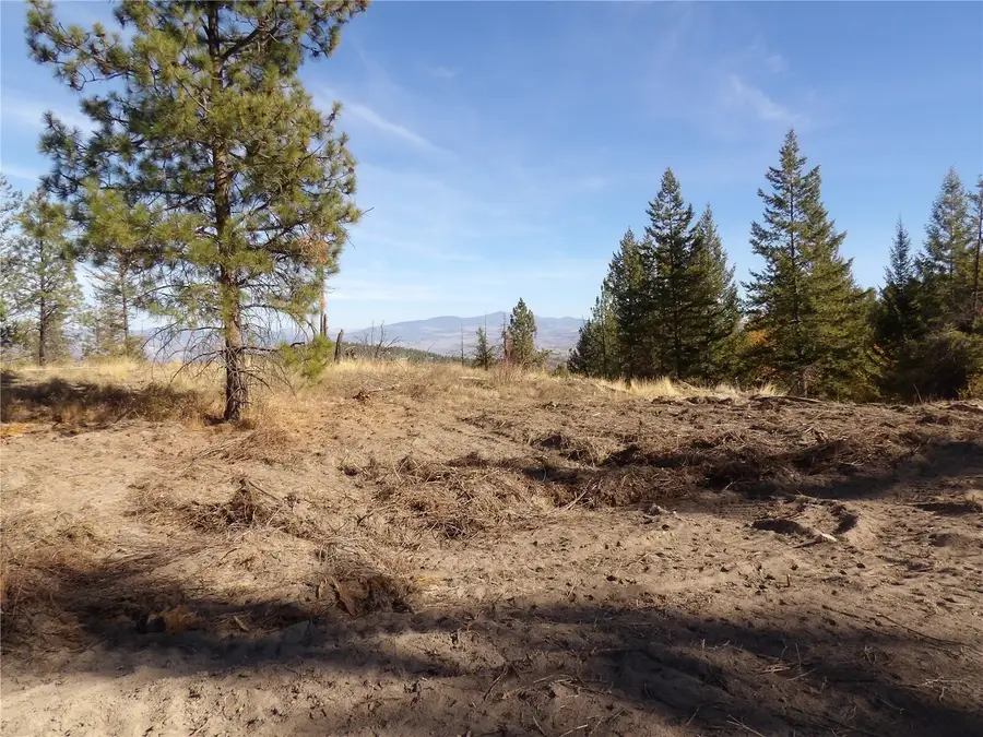 0 Tbd Stillwater Hill Road, Tonasket, WA 98855 - #2