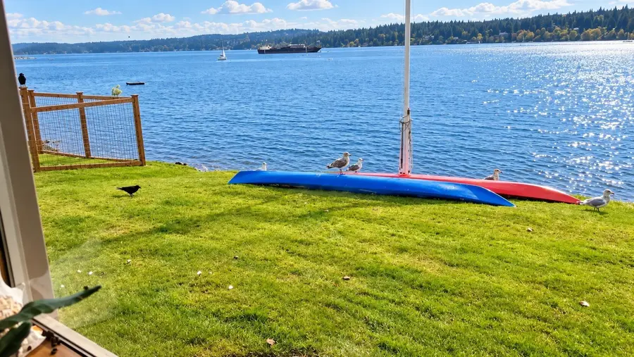 5341 S Bercot Road, Freeland, WA 98249 - #2