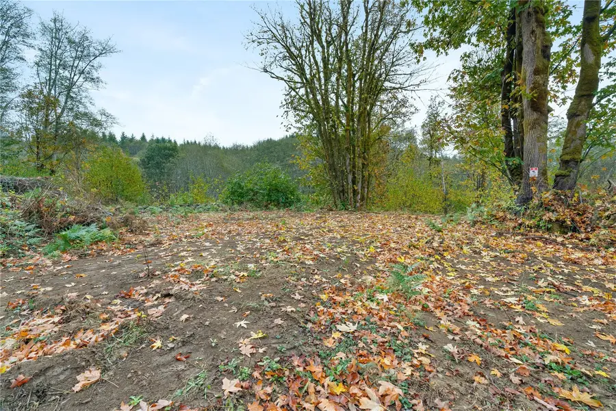 0 Wilkie Lane, Montesano, WA 98563 - #2
