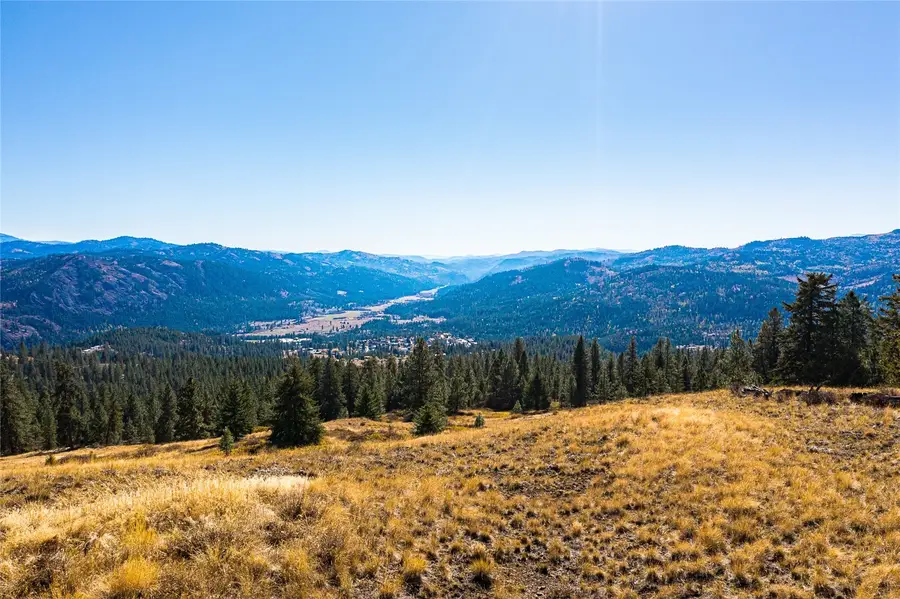 0 E Knob Hill Road #79, Republic, WA 99166 - #2