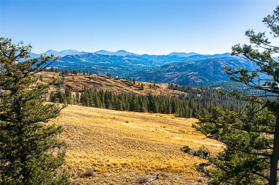 0 E Knob Hill Road #79, Republic, WA 99166 - #3