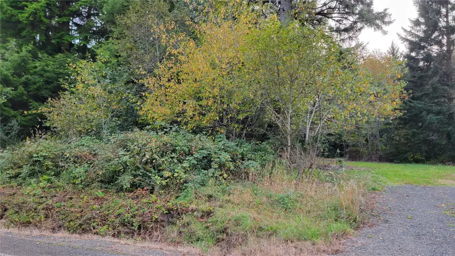 12 South Bend Palix Road, South Bend, WA 98586 - #3