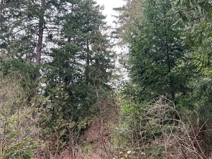 0 Greenwood Drive #19, Point Roberts, WA 98281 - #2
