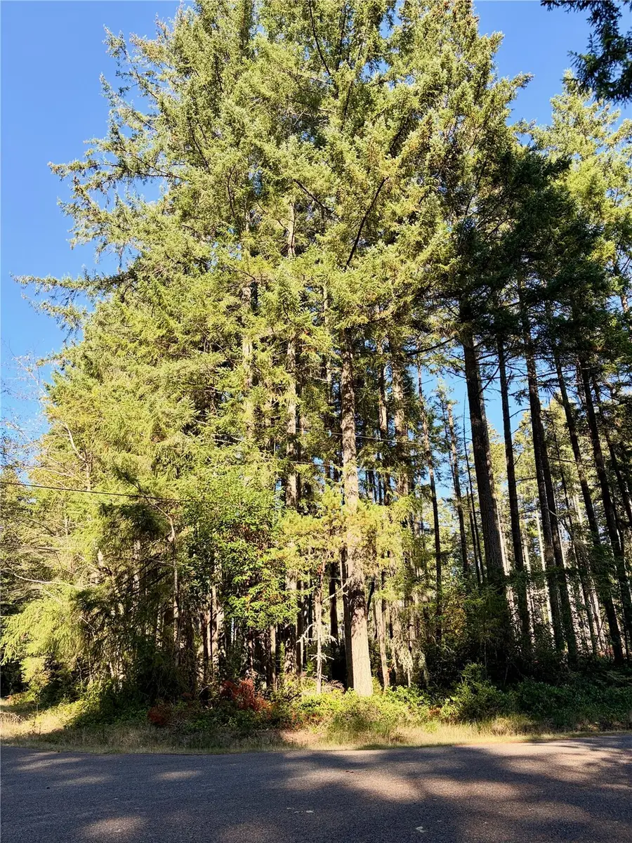 12123 Sunset Pl #010, Anderson Island, WA 98303 - #2