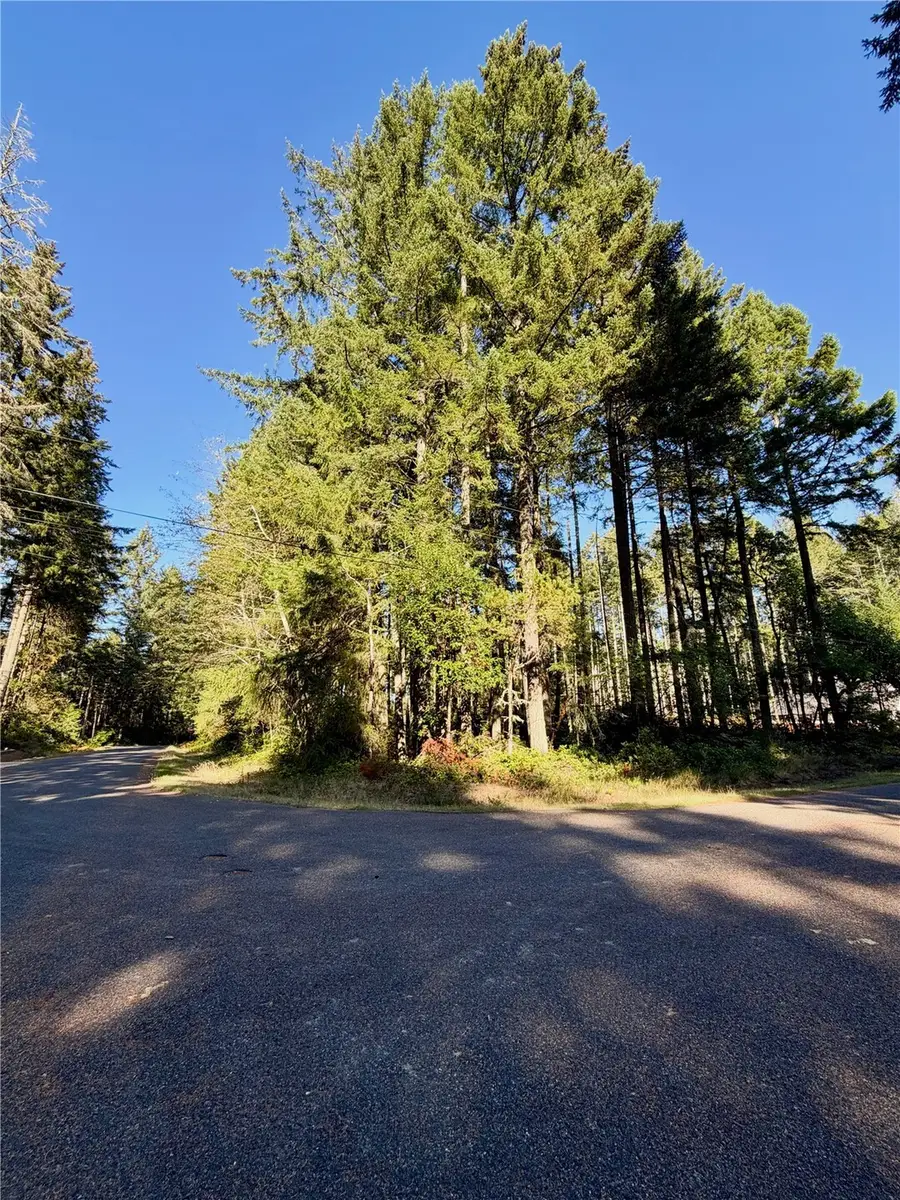 12123 Sunset Pl #010, Anderson Island, WA 98303 - #3
