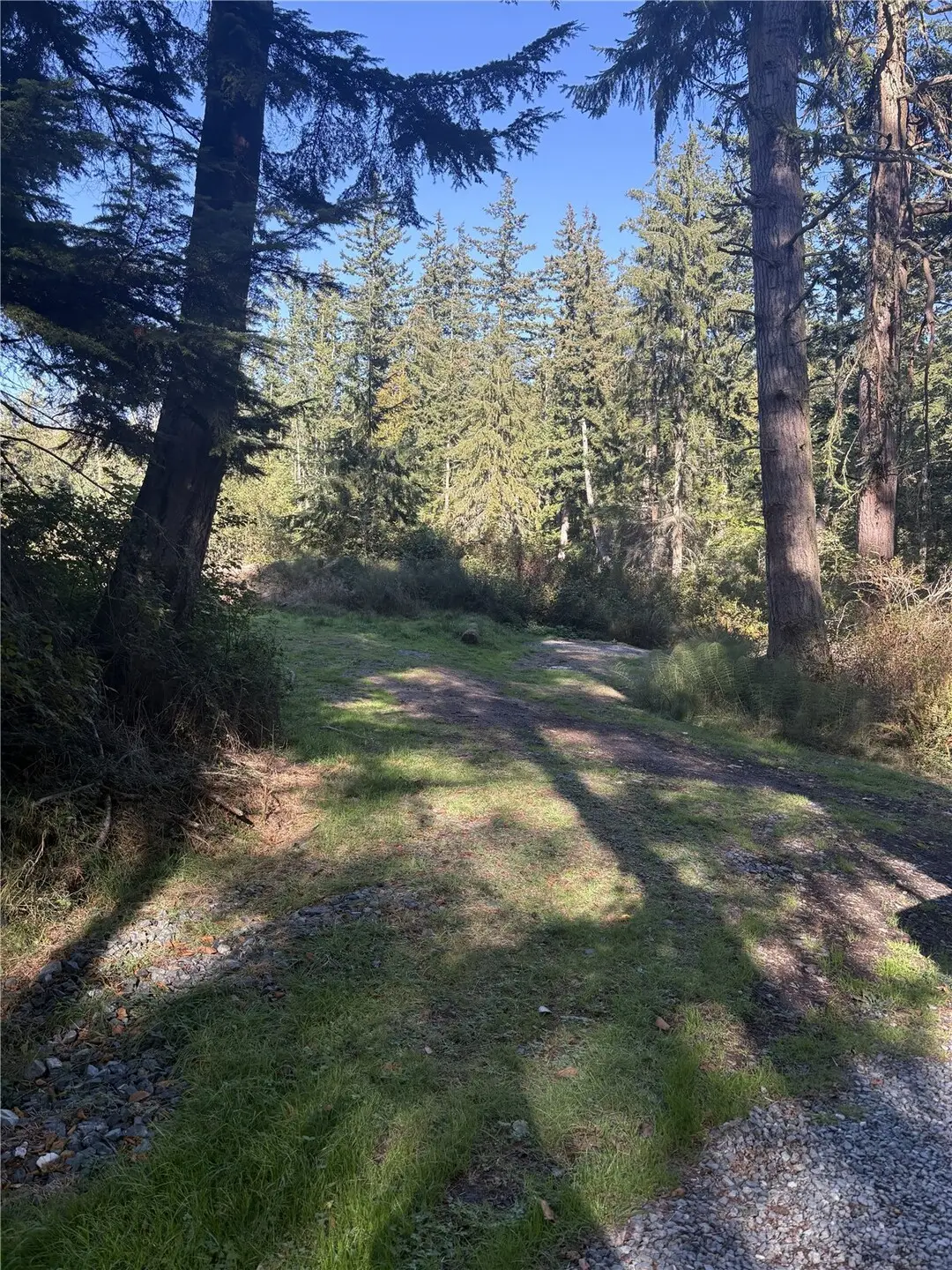 473 Boyer Lane, Freeland, WA 98249 - #1
