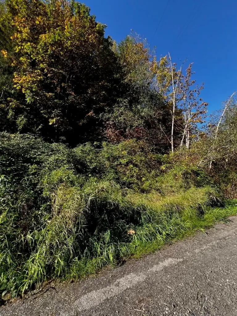 0 241st Avenue Se #9, Monroe, WA 98270 - #1