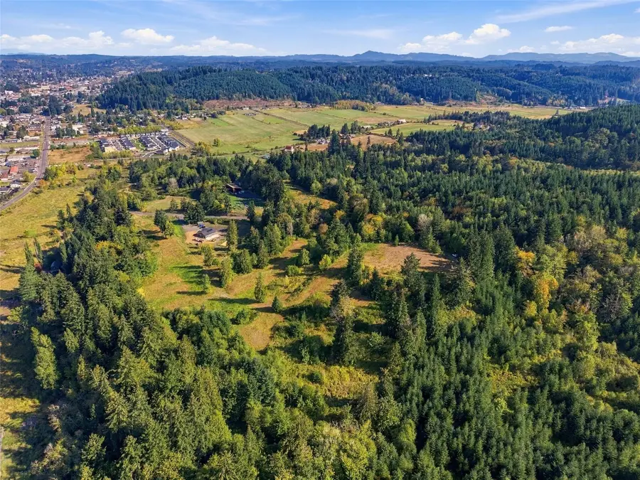 1970 Salzer Creek Drive, Centralia, WA 98531 - #2