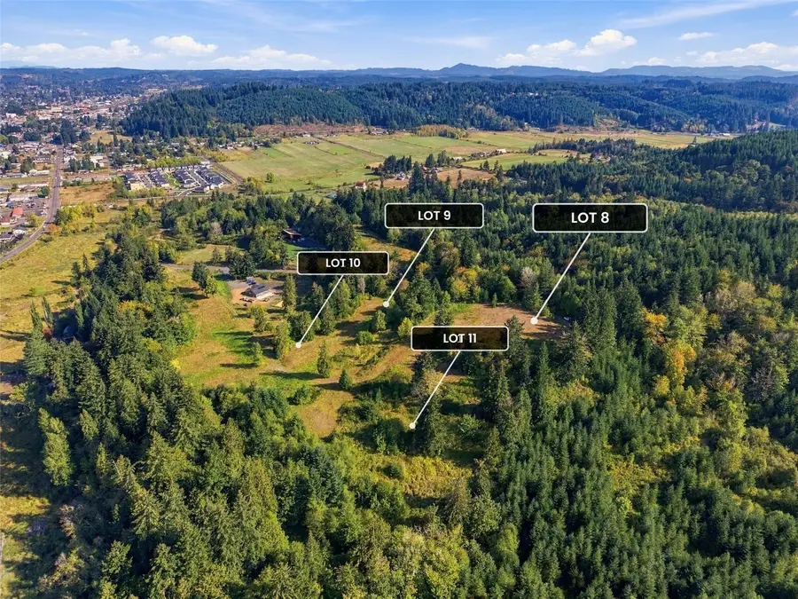 1970 Salzer Creek Drive, Centralia, WA 98531 - #3