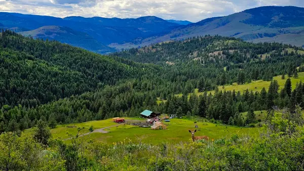 57 Two Sisters Way, Curlew, WA 99118