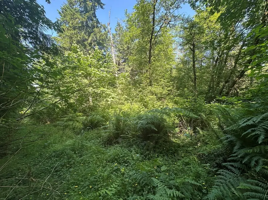 44 Mccary Road Sw, Bremerton, WA 98312 - #2