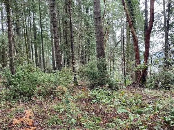 0 Elk Street, Shelton, WA 98584