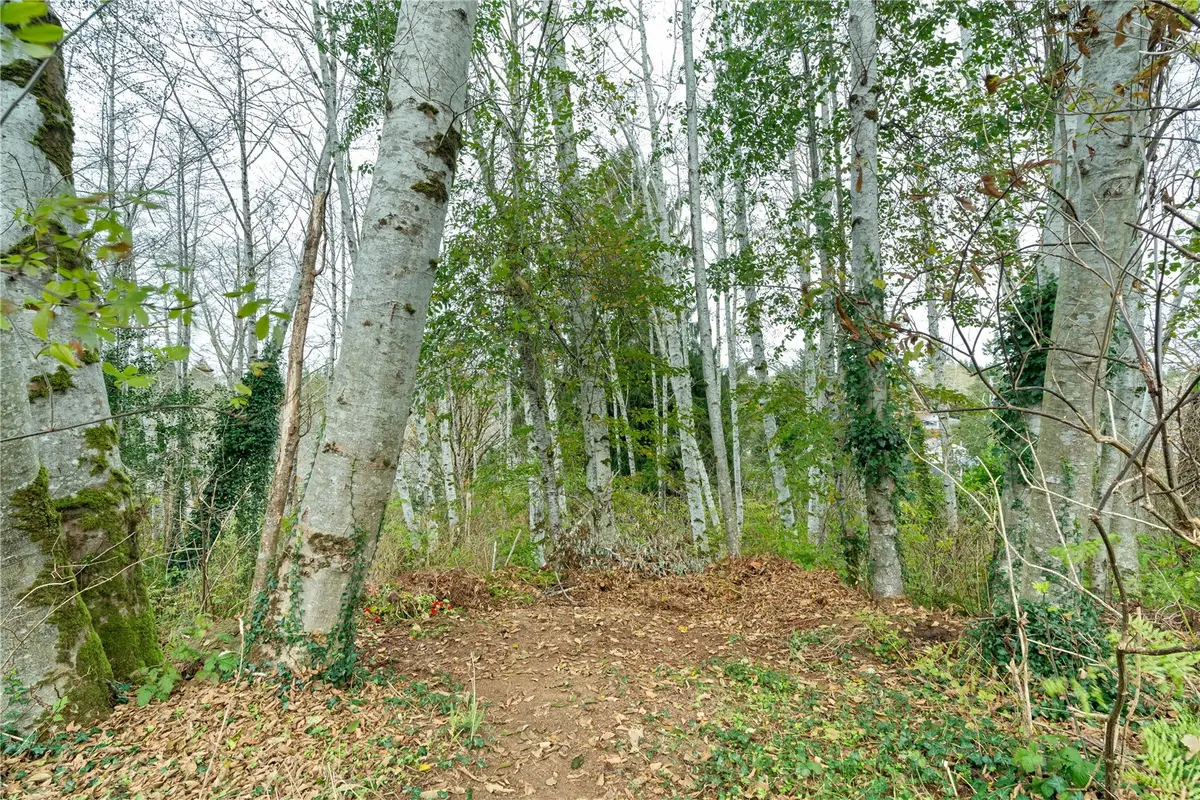 15 Montview Drive #LOTS 15 & 16 & LOT 17 LS E 16.61' BLK 4, Aberdeen, WA 98520 - #1