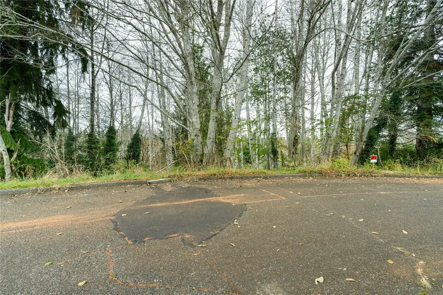 15 Montview Drive #LOTS 15 & 16 & LOT 17 LS E 16.61' BLK 4, Aberdeen, WA 98520 - #2