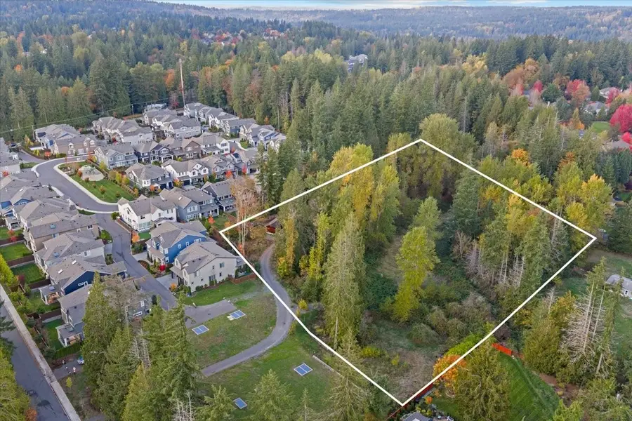 24624 NE 18th Street, Redmond, WA 98074 - #2