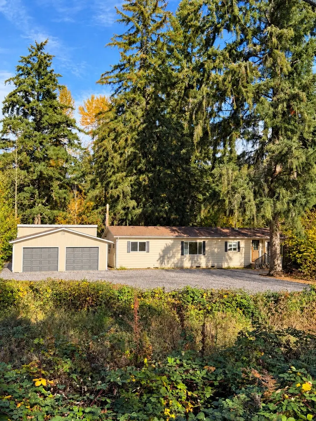 826 Tipsoo Loop S, Rainier, WA 98576 - #1