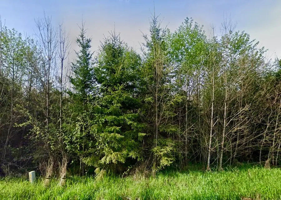 3688 State Highway 508, Onalaska, WA 98570 - #3