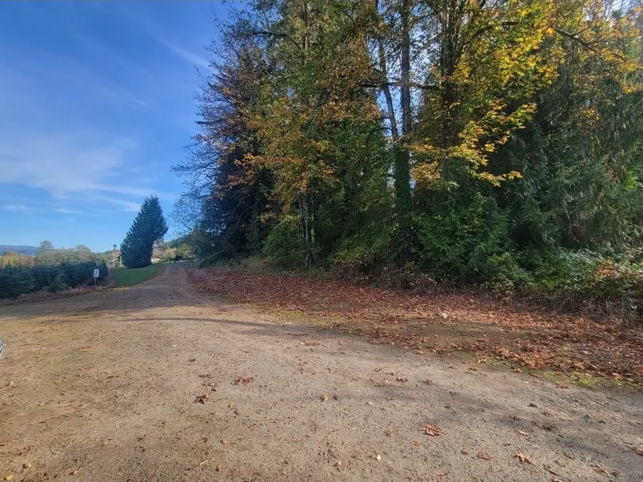 228 Schoonover Road, Mossyrock, WA 98564 - #2
