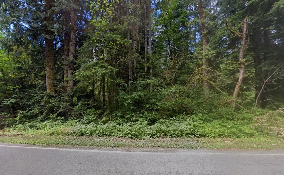 220 S Lake Roesiger Road, Snohomish, WA 98290 - #1