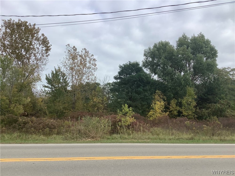 V/L Shawnee Road, Sanborn, NY 14132 BHGRE