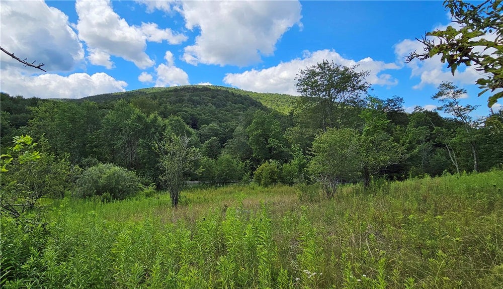 Lot 1 Tait Road, Margaretville, NY 12455 BHGRE