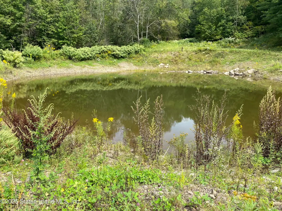 2340 Sands Creek Road, Hancock, NY 13783 - Image #1