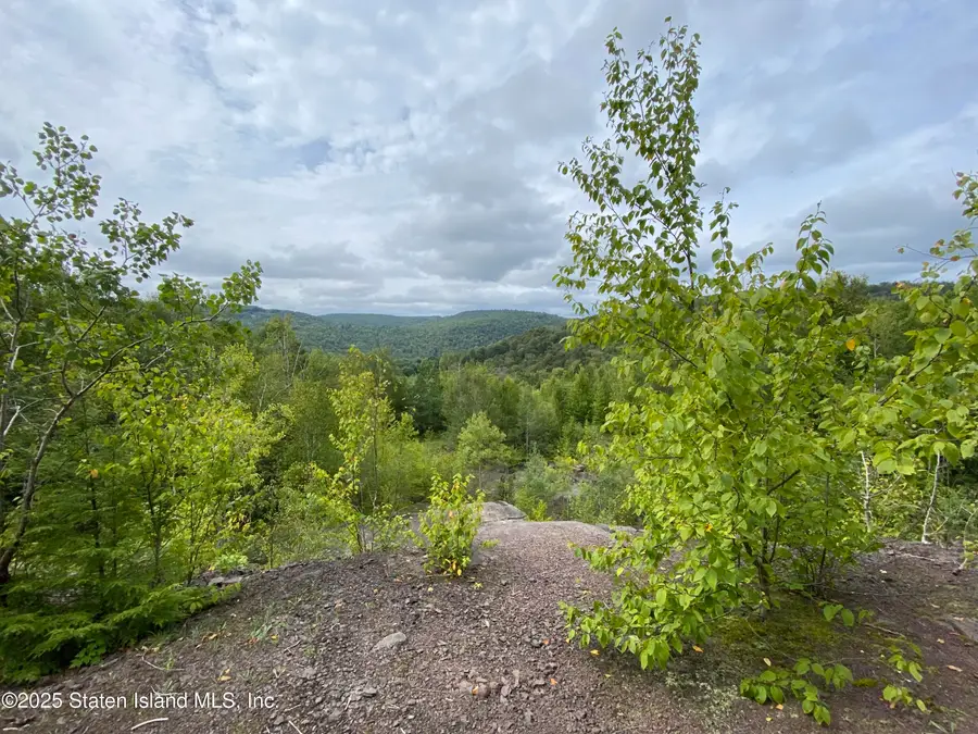 2392 Sands Creek Road, Hancock, NY 13783 - Image #3