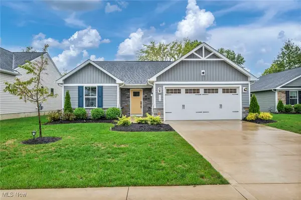 113 W Spring Drive, Elyria, OH 44035