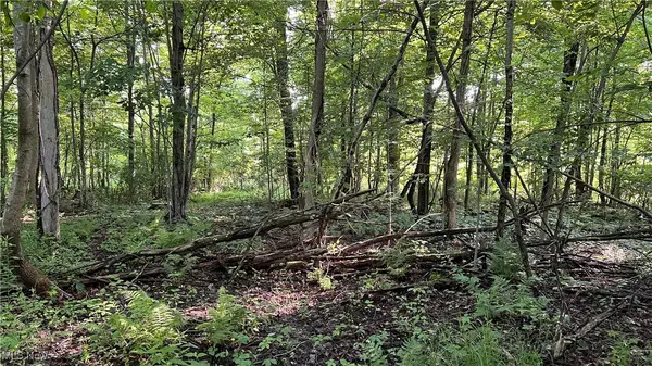 Orchard Street, Andover, OH 44003