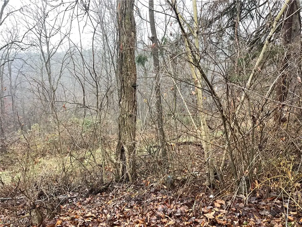 16 Woodcliff Acres, Washington, WV 26181 - Image #1