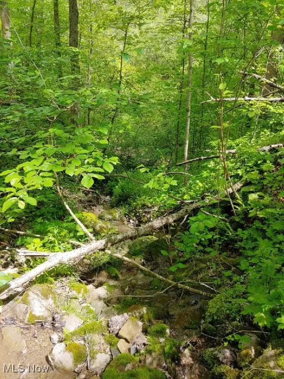 00 Cr # 94, Mead, OH 43947 - Image #2