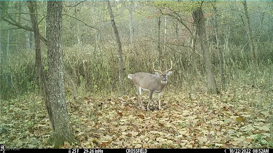 #2