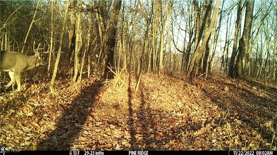 #3
