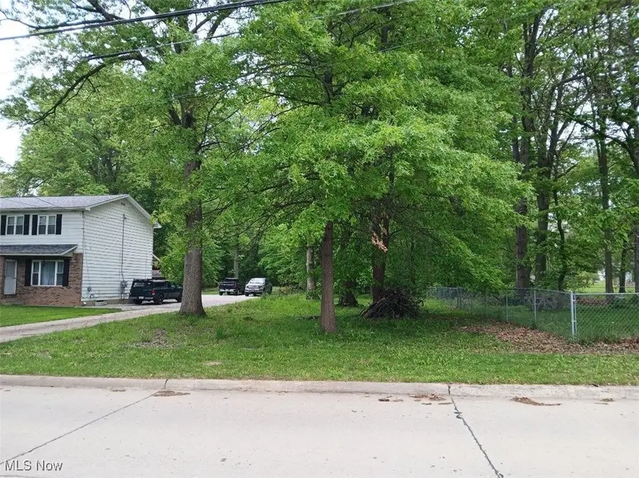 V/L Marion Avenue, Mogadore, OH 44260 - Image #3