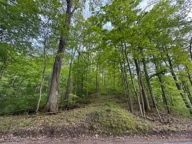 1445 E Branch Road, Malta, OH 43758 - Image #1