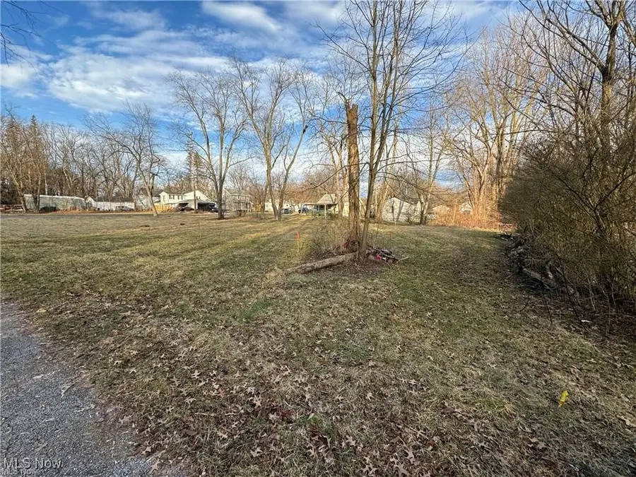 1229 Pickford Avenue, Akron, OH 44320 - Image #2