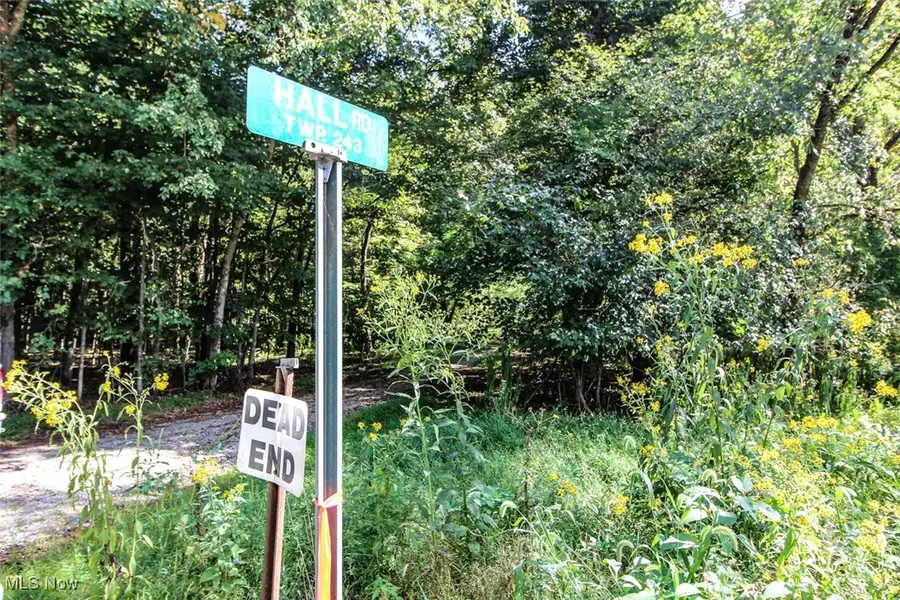 62319 Glencoe Road, Belmont, OH 43718 - Image #3