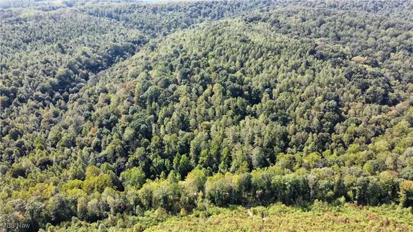 Beech Fork Road, Peebles, OH 45660