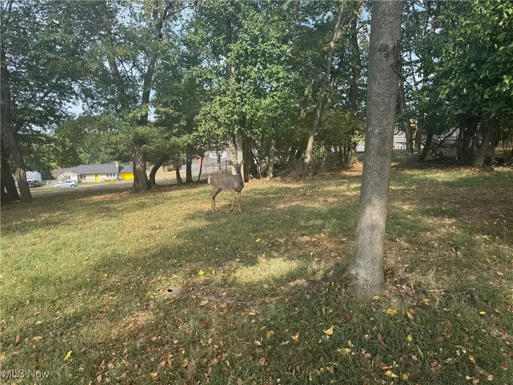 Harding- 36b Road, Zanesville, OH 43701 - Image #1