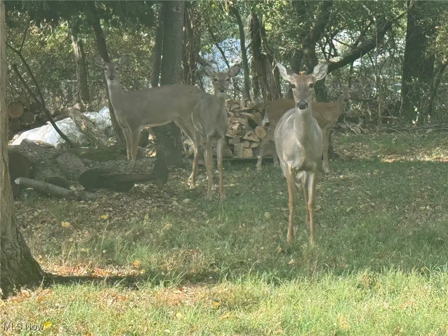 Harding- 36b Road, Zanesville, OH 43701 - Image #2