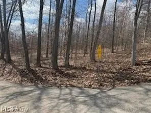 V/l Logan Horns Rd, Logan, OH 43138 - Image #3