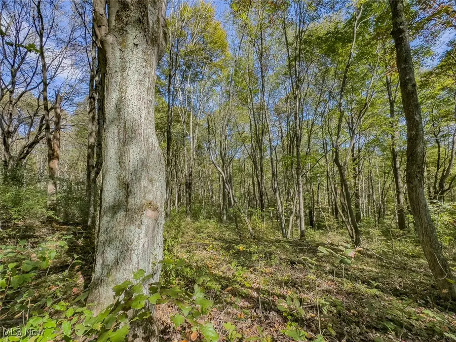 Parcel 3 Bethel Road, Creola, OH 45622 - Image #3