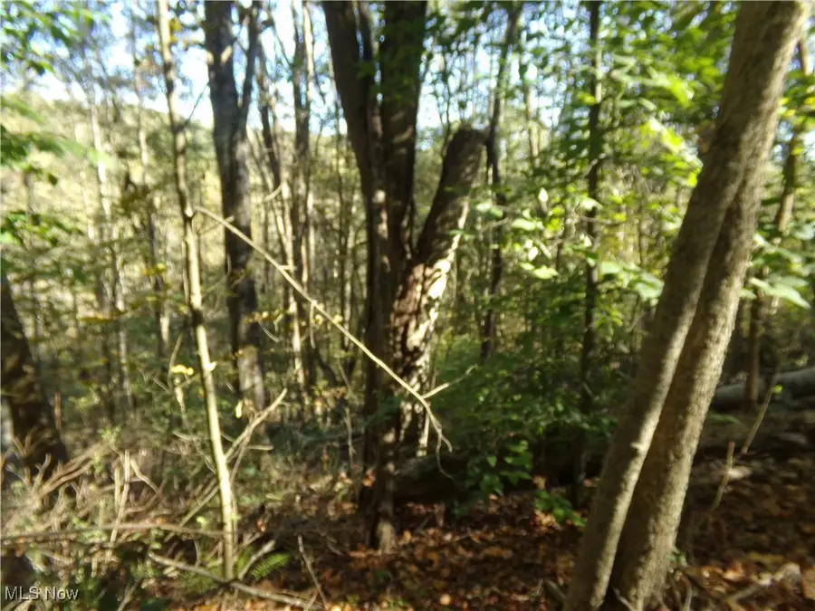 7822 Hilltop Nw Drive, Orange, OH 44708 - Image #3