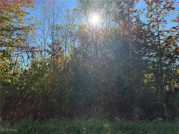 Pearl Avenue, Lorain, OH 44055