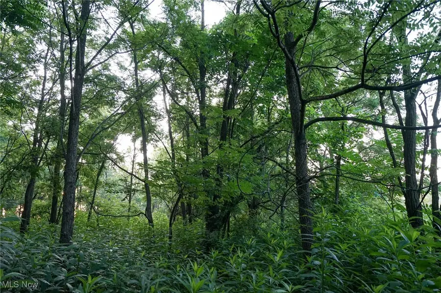 Township Rd 51, Somerset, OH 43783 - Image #3